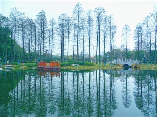银河8366cc(中国)有限公司官网